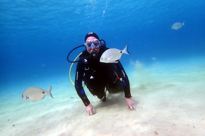 Discover Scuba Diving in Lanzarote (Costa Teguise) - Overview of Scuba Diving Experience