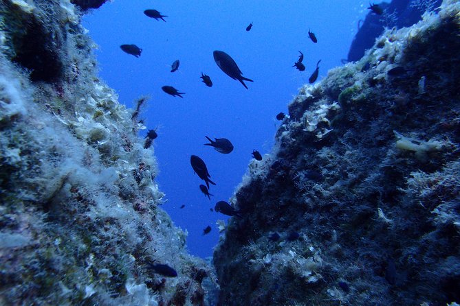 Discover Scuba Diving in Lanzarote (No Experience Needed) - Scuba Diving Overview
