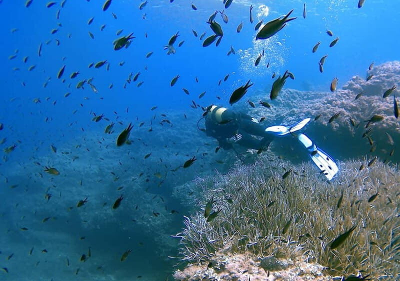 Discover Scuba Diving in Menorca: your first underwater adventure - What You Can Expect from This Menorca Underwater Experience