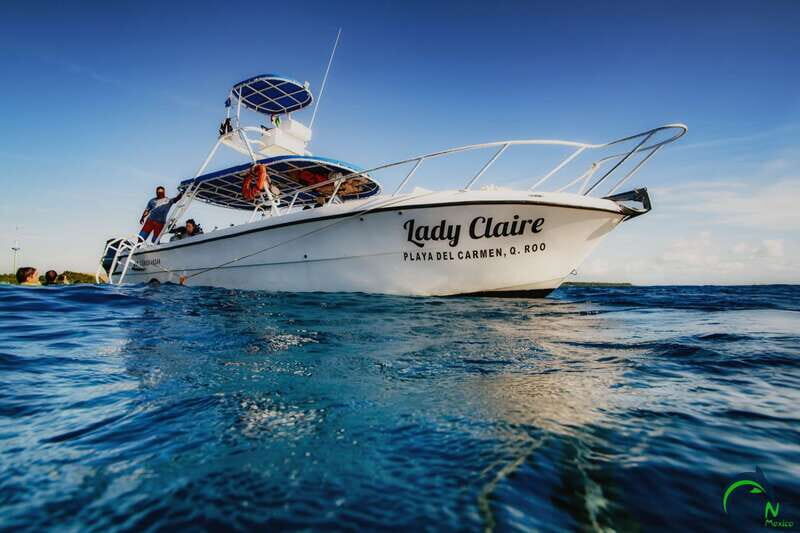 Discover Scuba Diving in Playa del Carmen - 2 dives - The Marine Environment