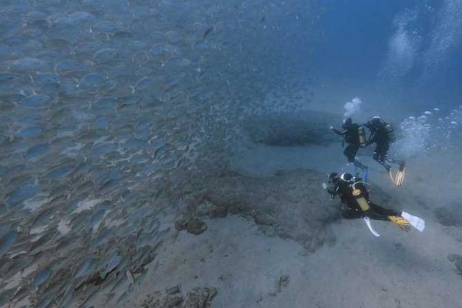 Discover Scuba Diving in Puerto De Mogan - Course Details and Inclusions