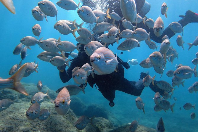 Discover Scuba Diving in Puerto De Mogan - Pickup and Meeting Points