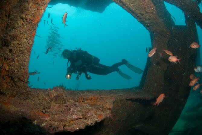 Discover Scuba Diving in Sal - The Beauty of Sals Underwater World