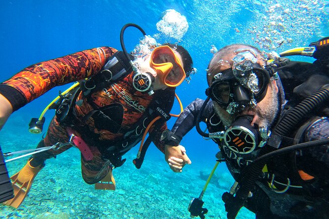 Discover Scuba Diving in Tenerife - Private Group Experience