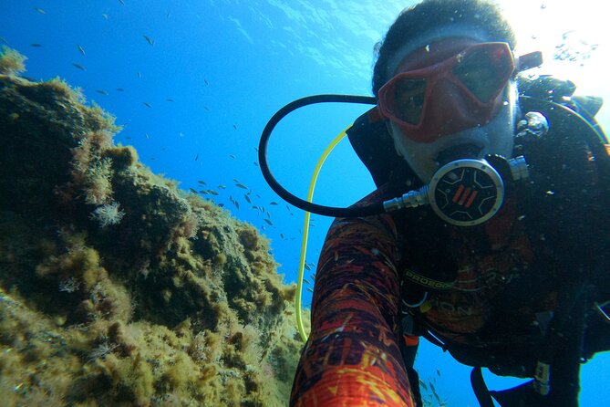Discover Scuba Diving in Tenerife - Whats Included