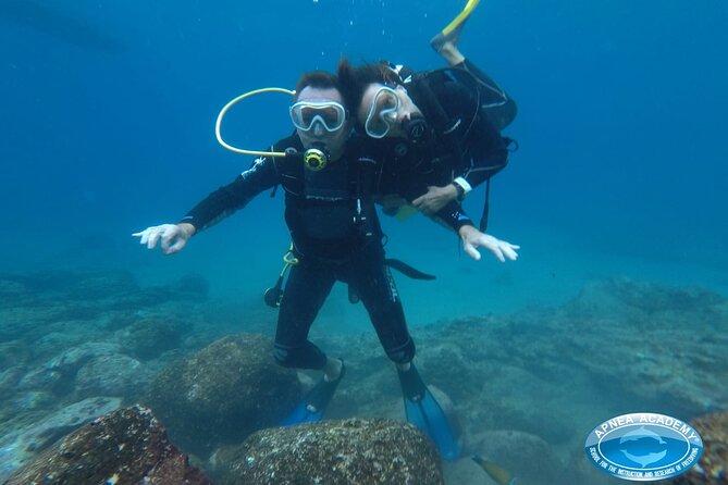 Discover Scuba Diving in Tenerife - Meeting and End Points
