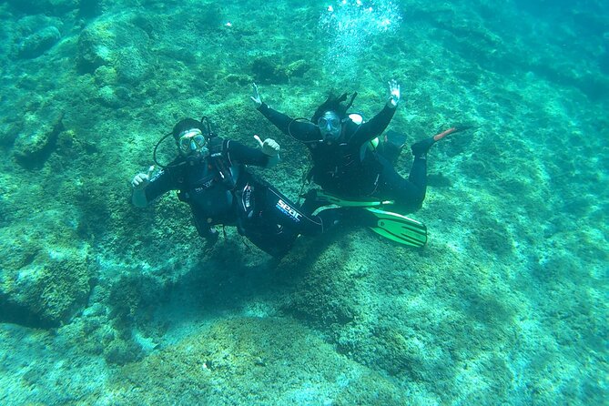 Discover Scuba Diving in Tenerife - Activity Experience