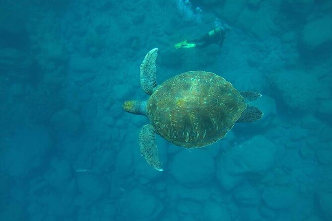 Discover Scuba Diving in Tenerife - Frequently Asked Questions