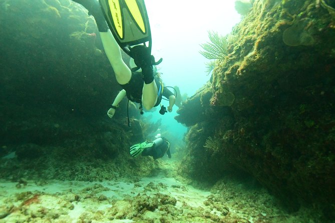 Discover Scuba Diving in Tulum - Meeting and Pickup Information