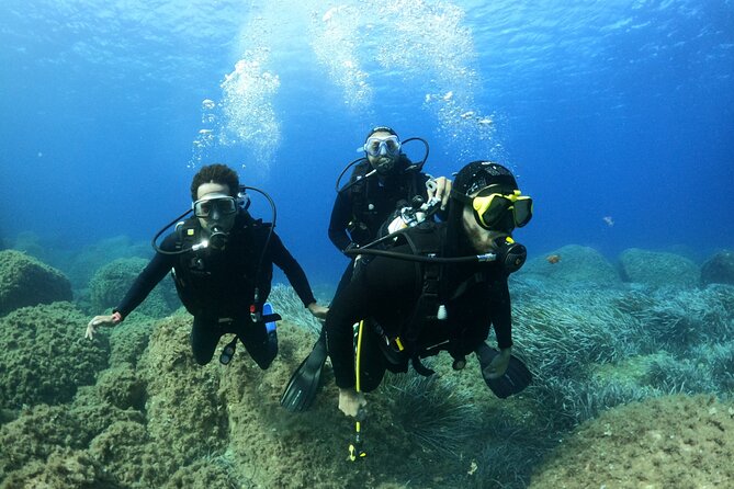 Discover Scuba Diving in Villasimius - Questions