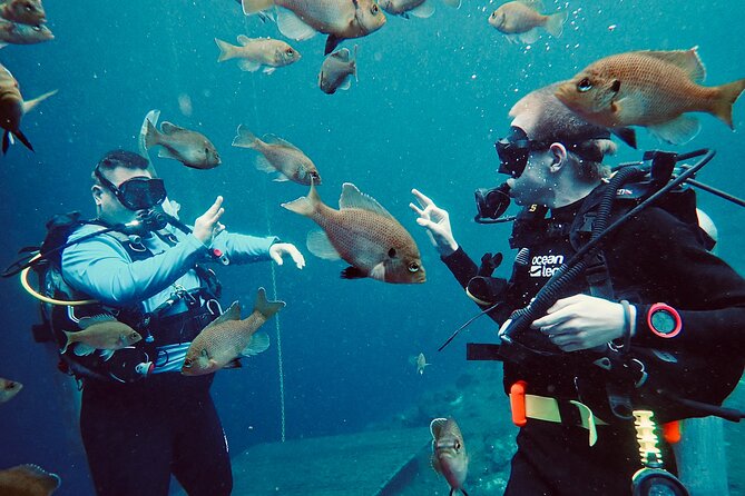 Discover Scuba Diving On The Beautiful Rainbow River - Use of Scuba Equipment