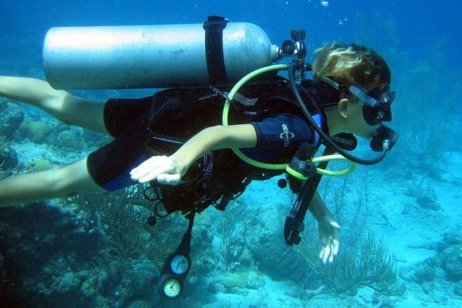 Discover Scuba Diving PADI in Playa Del Carmen Including Underwater Video - Pricing and Booking Details