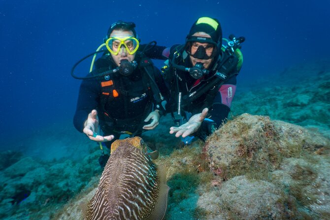 Discover Scuba Diving, Playa De Las Americas - Overview of the Activity