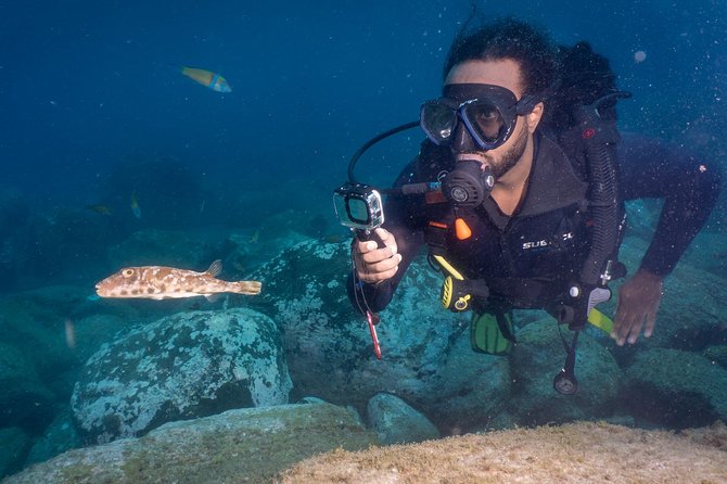 Discover Scuba Diving, Playa De Las Americas - Common Questions