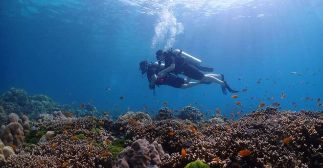 Discover Scuba Diving Racha Yai From Phuket - Reservation and Payment