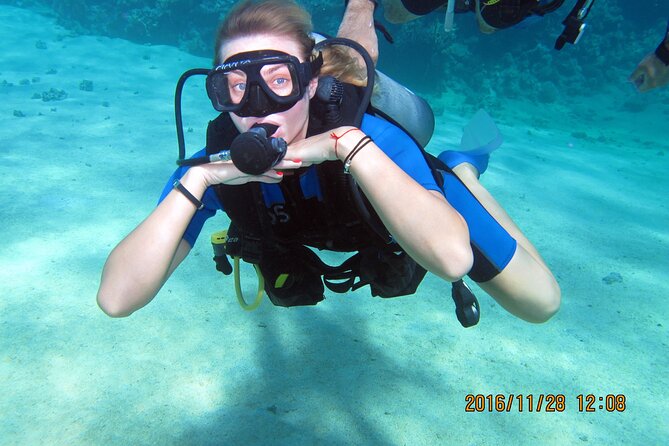 Discover Scuba Diving Sharm El Sheikh - Dive Among Fishes and Coral