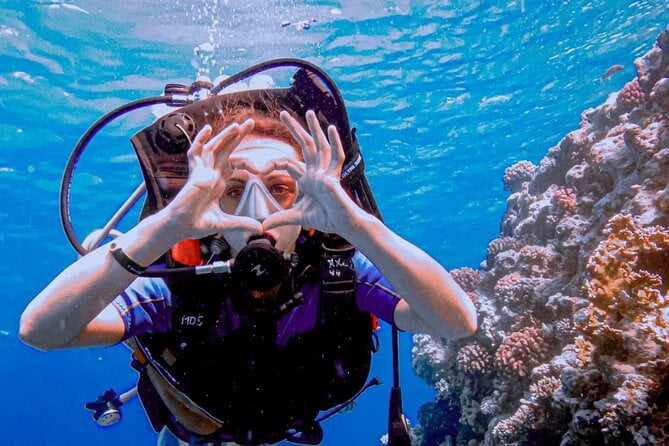 Discover Scuba Diving Sharm El Sheikh - Reviews and Traveler Photos