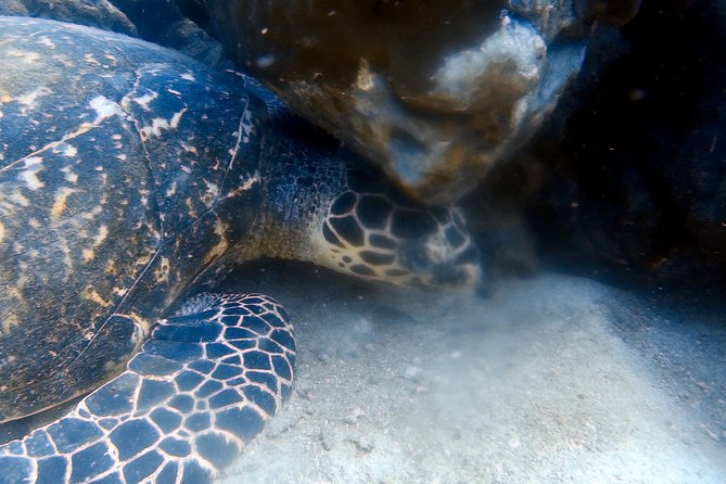 Discover Scuba Diving, Try Dive for Beginners ( Start at Ko Kut) - Booking a Discovery Tour
