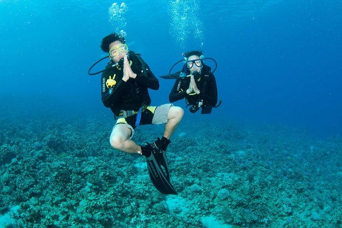 Discover Scuba Diving, Try Diving for Beginners (Starts From Koh Chang) - What Is Discover Scuba Diving?