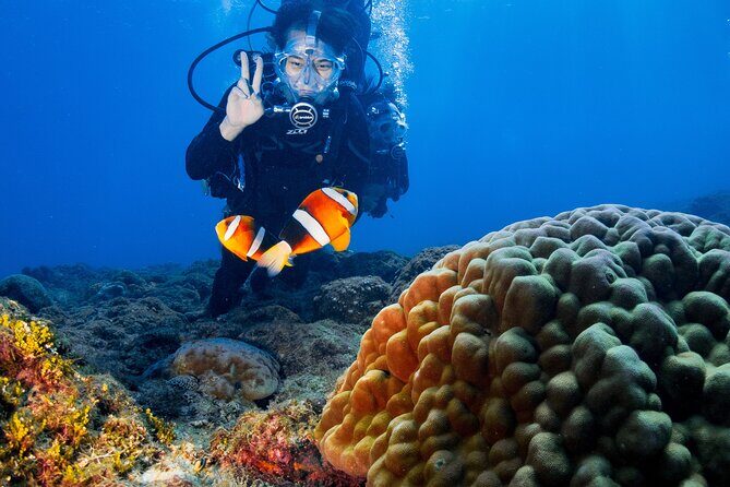 Discover Scuba Diving With Sea Turtles  Xiaoliuqiu, Taiwan - Why This Experience Stands Out