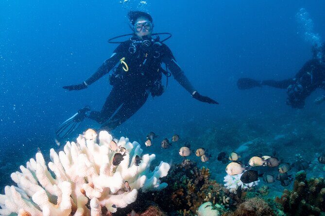 Discover Scuba Diving With Sea Turtles Xiaoliuqiu, Taiwan - Practical Considerations