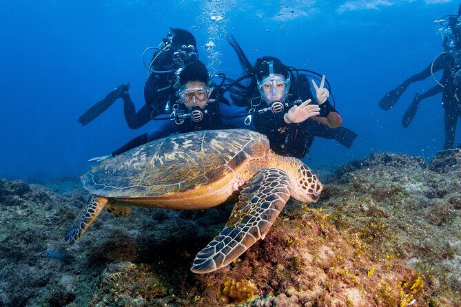Discover Scuba Diving With Sea Turtles Xiaoliuqiu, Taiwan - FAQ