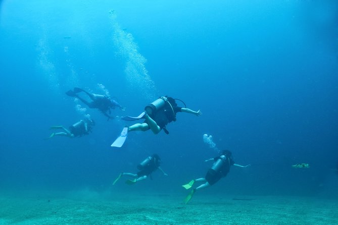 Discover Scuba Experience at Las Caletas, Puerto Vallarta - Reviews and Price