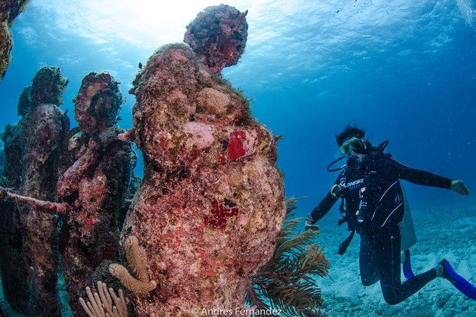 Discover Scuba ,MUSA and Manchones Reef Dive Without License - Discovering Marine Life and Coral Formations