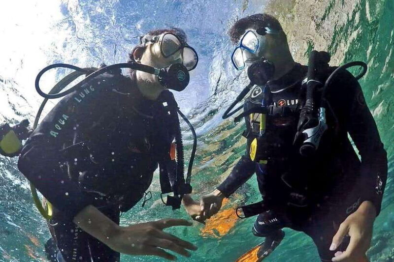 Discover Scuba: PADI Intro Dive in Dauin - The Sum Up  