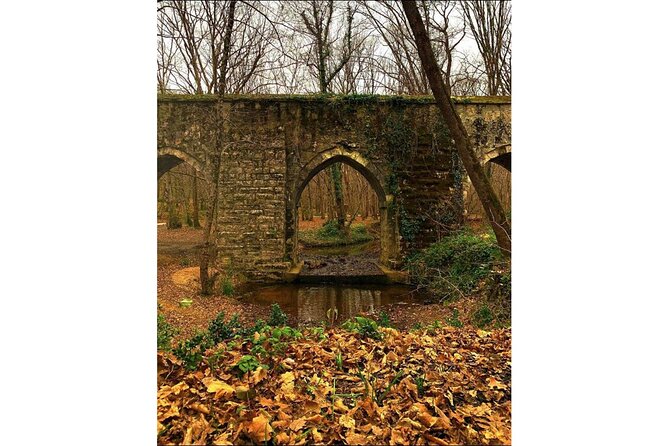 Discover Secret Lakes Forests and Hills in Istanbul by Hiking - Unveiling Istanbuls Natural Beauty on a Hiking Adventure