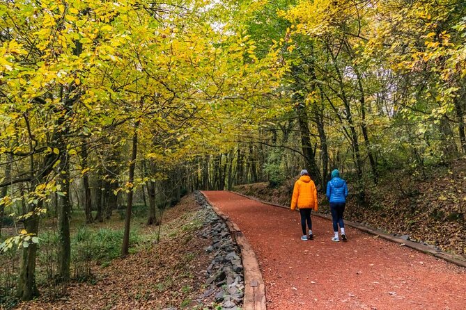 Discover Secret Lakes Forests and Hills in Istanbul by Hiking - The Sum Up