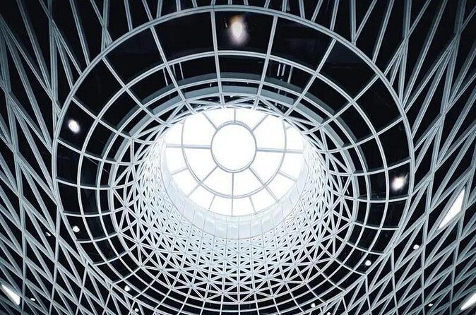 Discover Shenzhen Private Walking Tour with Local Expert - Final Thoughts: Who Will Love This Tour?