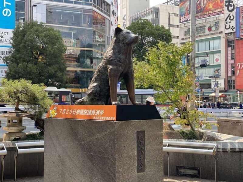 Discover Shibuya Culture and Street Life with a Local Guide - An In-Depth Look at the Tour Experience