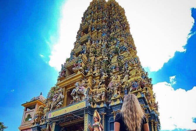 Discover Sigiriya Dambulla and Minneriya Park in Day Tour - Practical Details and Tips