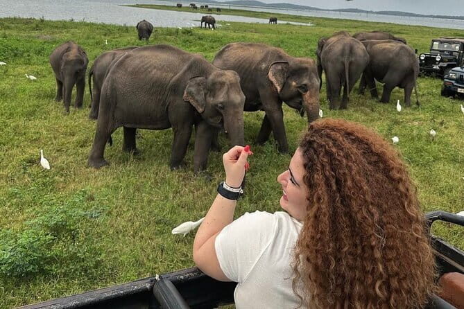 Discover Sigiriya Dambulla and Minneriya Park in Day Tour - The Authentic Experience from a Review Perspective