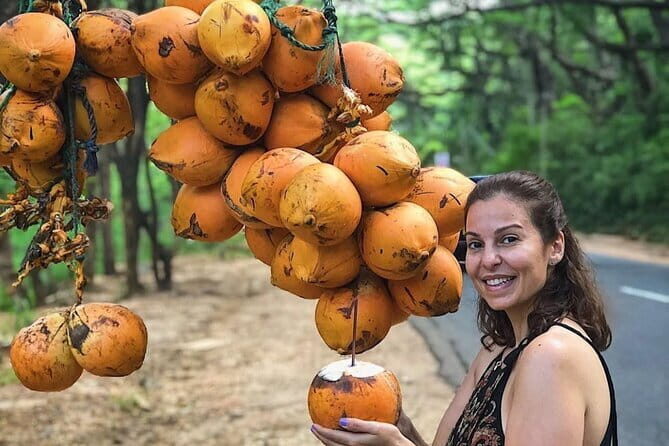 Discover Sigiriya Dambulla and Minneriya Park in Day Tour - FAQs