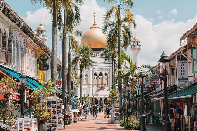 Discover Singapore Cultural Heritage on a Private Walking Tour - Good To Know