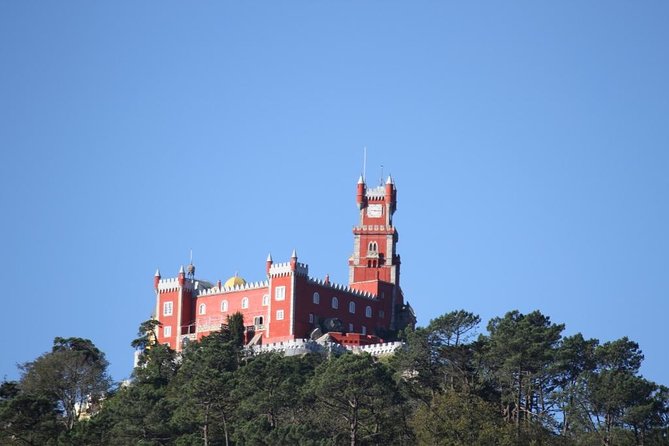 Discover Sintra and Cascais by Comfy Van - Private Full Day Tour - Highlights of Sintras Magical Forests