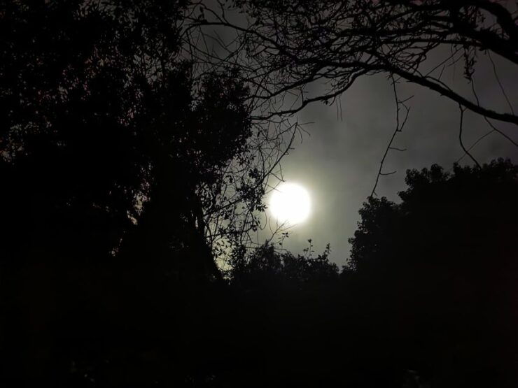 Discover Sintra and Cascais Lisbon Pickup Private Groups - Booking Information