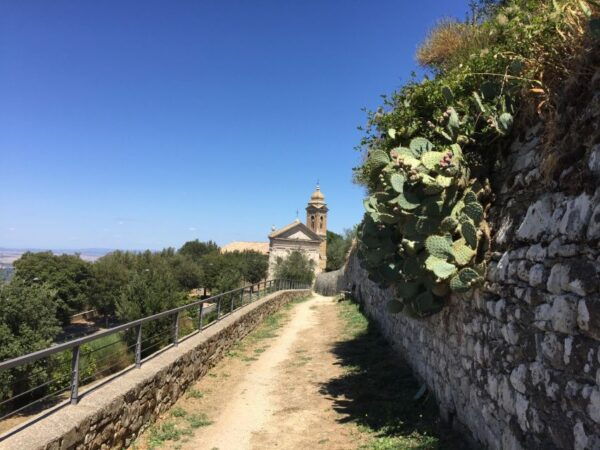 Discover Small Organic and Biodynamic Brunello Wineries - The Sum Up