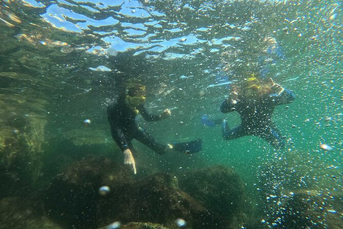 Discover Snorkeling Tour in Panama City - Directions