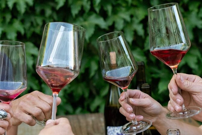 Discover Sonomas Natural Wineries in Small-Group Tour - Tour Overview