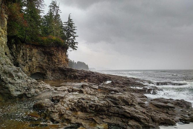 Discover Sooke to Port Renfrew Scenic Tour of Vancouver Islands - Cancellation Policy