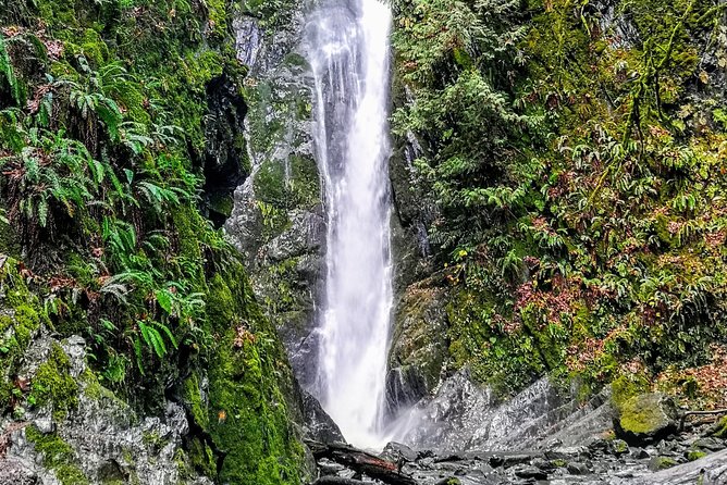 Discover Sooke to Port Renfrew Scenic Tour of Vancouver Islands - Directions