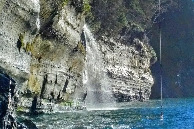 Discover Sooke to Port Renfrew Scenic Tour of Vancouver Islands - Common Questions