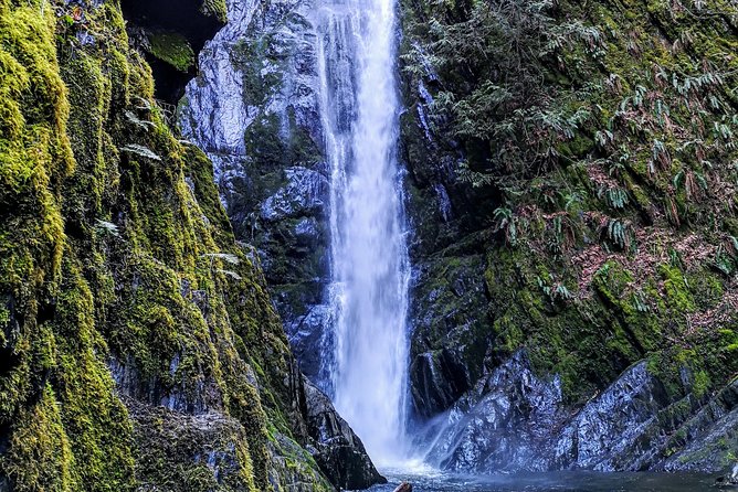Discover Sooke to Port Renfrew Scenic Tour of Vancouver Islands - The Sum Up