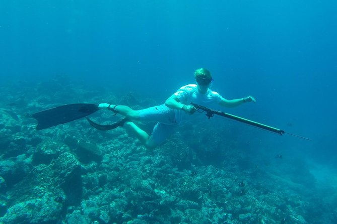 Discover Spearfishing Course - Overview of Spearfishing Course