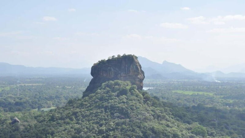 Discover Sri Lanka: 5-Day Cultural & Coastal Tour - What Makes This Tour Stand Out