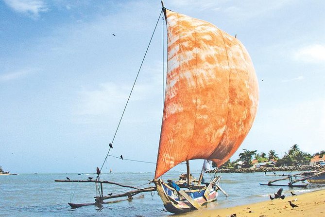 Discover Sri Lanka's Central Highlands: 11-Day Private Tour - Colombo - Visit Sacred Temples and Botanical Gardens