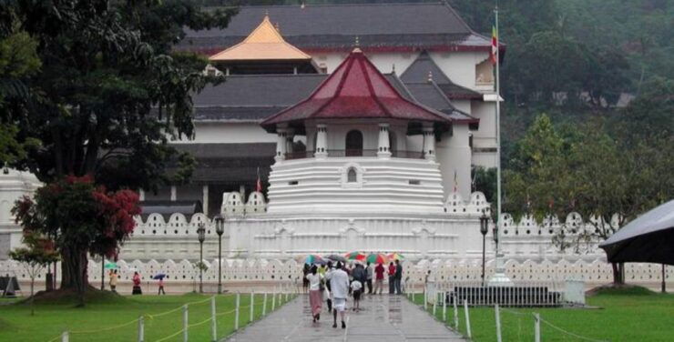 Discover Sri Lanka's Central Highlands in 5 Days - Day 2: Nuwara Eliya Exploration